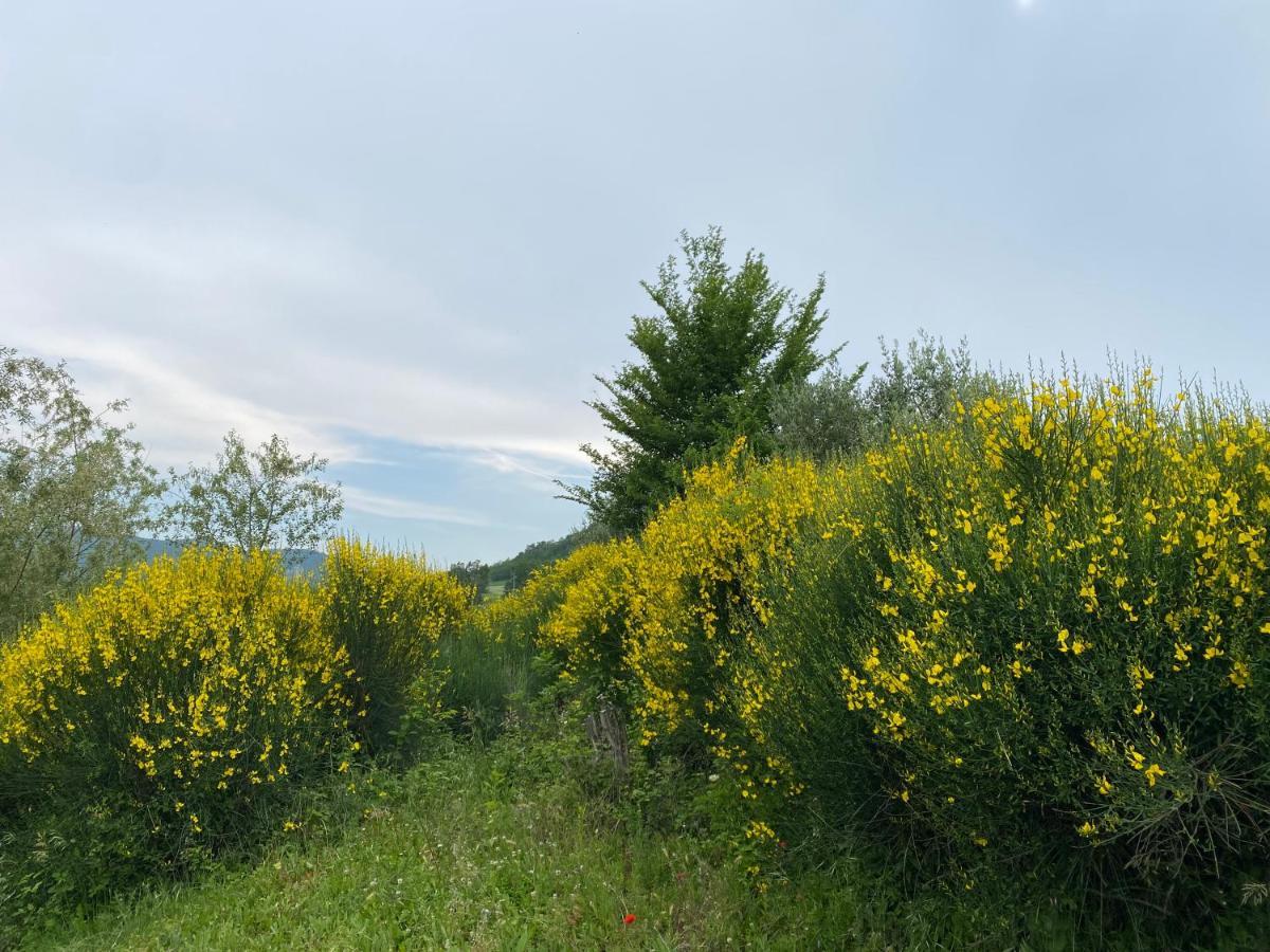 Case Crovina Salsomaggiore Terme Exterior foto