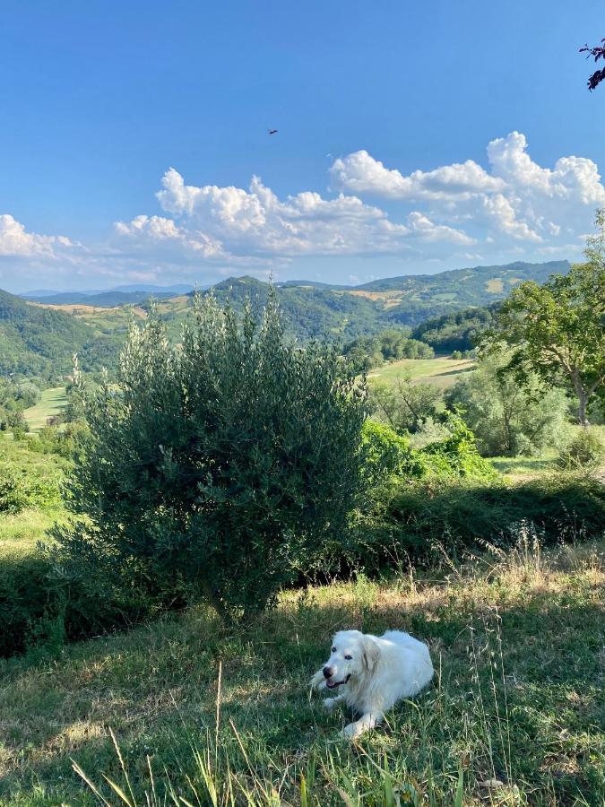 Case Crovina Salsomaggiore Terme Exterior foto