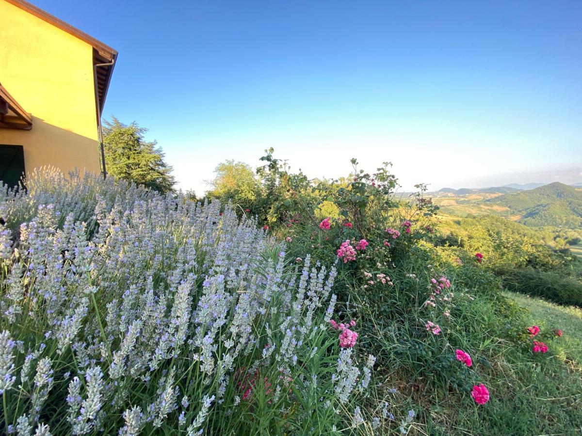 Case Crovina Salsomaggiore Terme Exterior foto